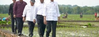 Privat: [ID: 8vN-4-REUBs] Youtube Automatic