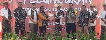 Privat: [ID: c8Z9bdTfXe4] Youtube Automatic