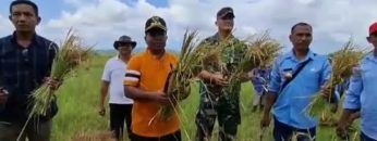 Privat: [ID: CNzobybNkPk] Youtube Automatic