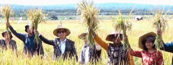 Privat: [ID: dPyzOG6TCAw] Youtube Automatic