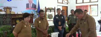 Privat: [ID: K0IIRypP100] Youtube Automatic