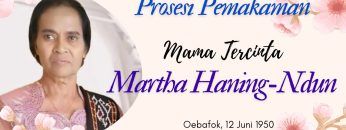 Privat: [ID: nQ3ptJ3txzQ] Youtube Automatic