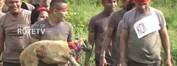 Privat: [ID: P_i0gbAlAKk] Youtube Automatic