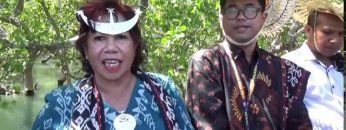 Privat: [ID: xIKRs5ZNWYY] Youtube Automatic